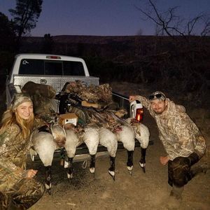 Meet your Posher, Cody